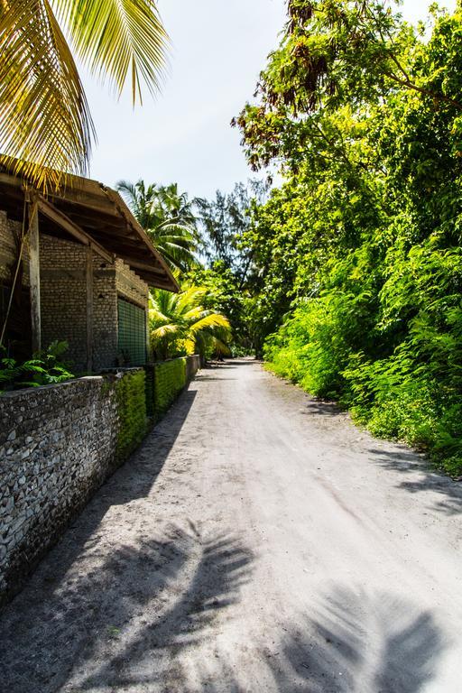 Villa Rosa Maldives Feridhoo Eksteriør bilde