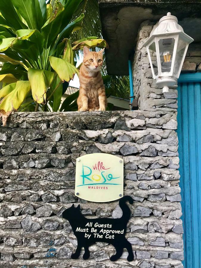 Villa Rosa Maldives Feridhoo Eksteriør bilde